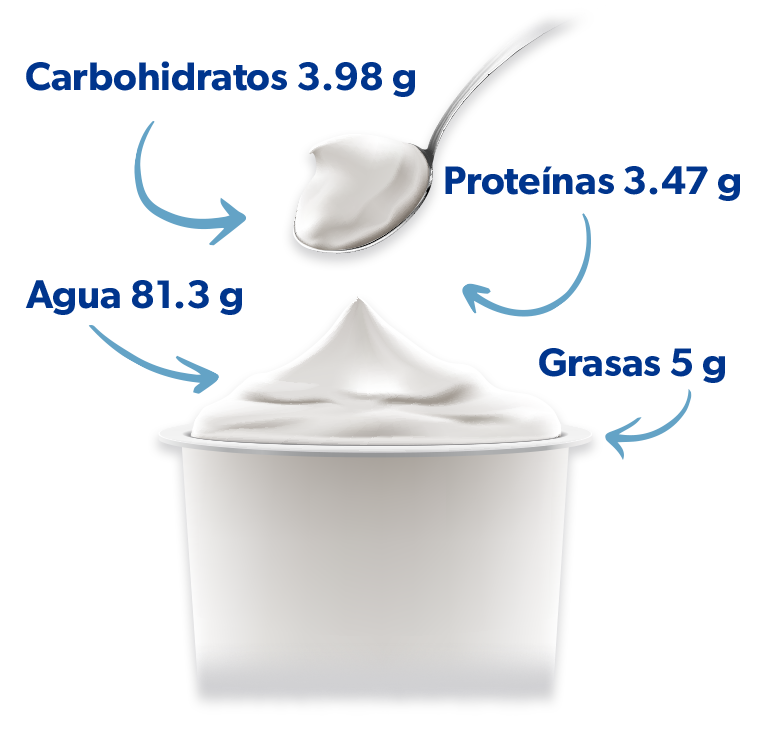 Infografia De Yogurt
