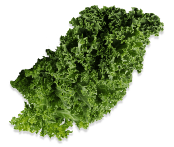 Kale Orgánico