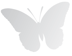 mariposa 1