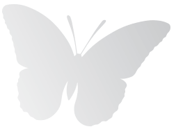 mariposa 2