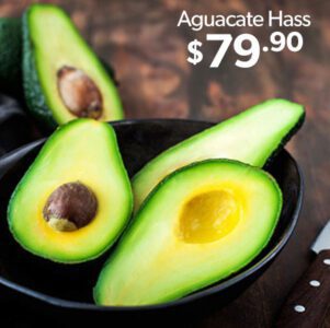 317113 Aguacate Hass 1
