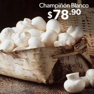 71228 CHAMPINON BLANCO 1 1