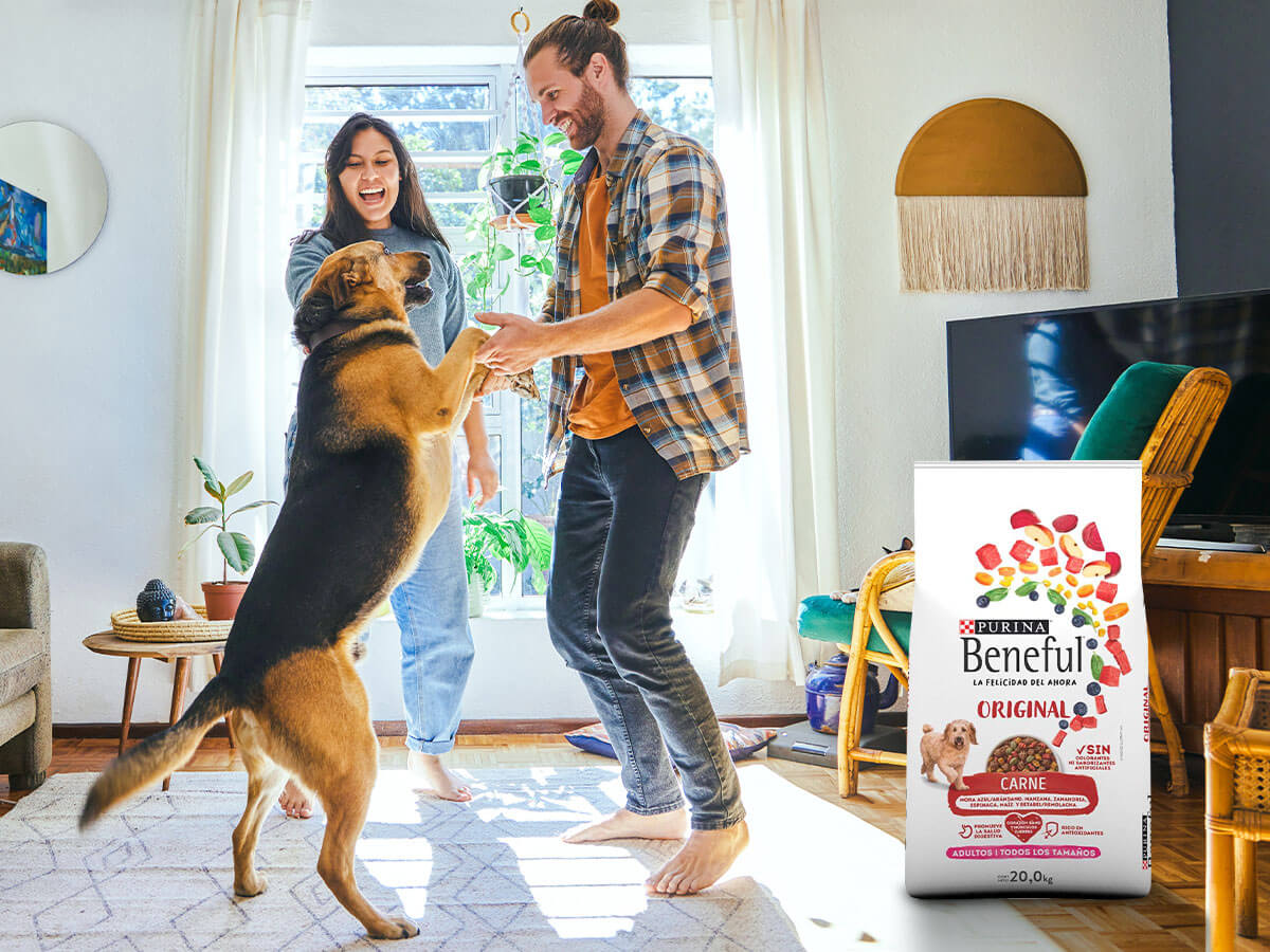 Beneful Original: Alimentación Saludable Para Tu Perro