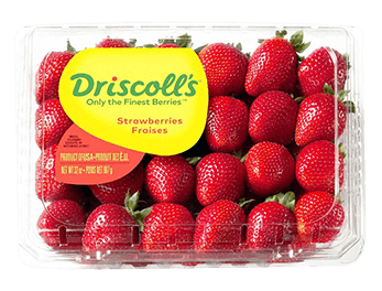 Fresas Driscolls