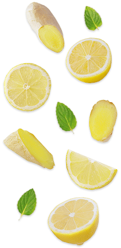 Gengibre Limon Menta