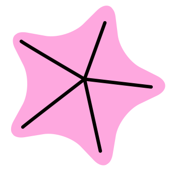 Vector Estrella De Mar
