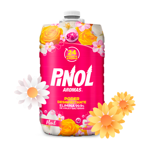 Pinol Info