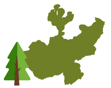 Reforestacion Jalisco