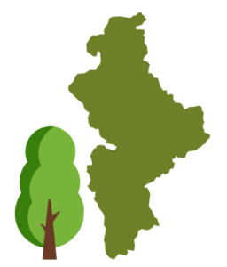Reforestacion Nuevo Leon