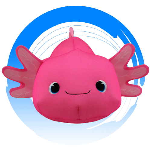 circulo 2 vacaciones