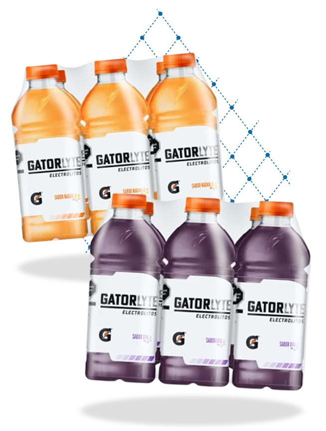 Producto Gatorlyte