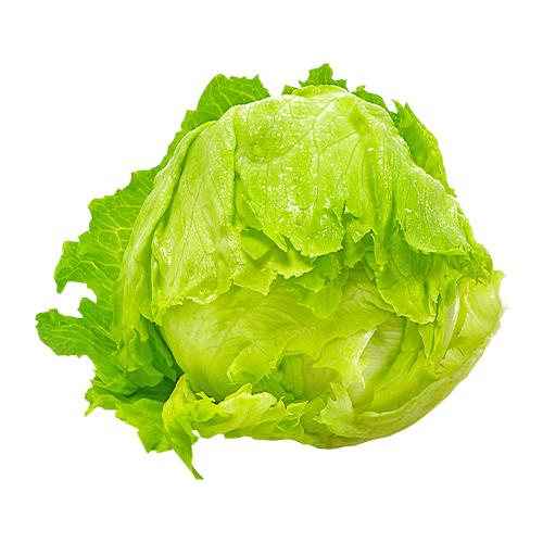 Lechuga