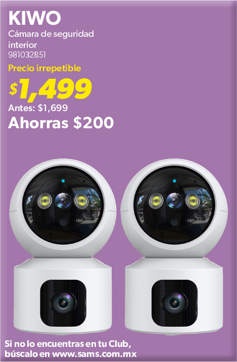 28 Camaradeseguridadinterior Kiwo