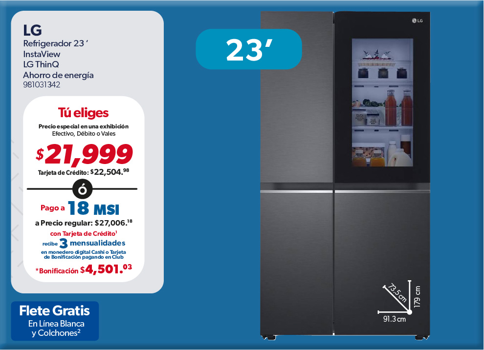 74 Refrigerador23pulgadas LG