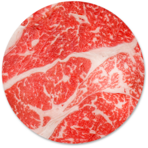 imagen ancho completo movile copia 2